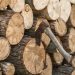 Ξύλα για σόμπα